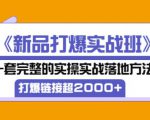 凌童《新品打爆实战班》,一套完整的实操实战落地方法，打爆链接超2000+（28节课)-沐风资源库