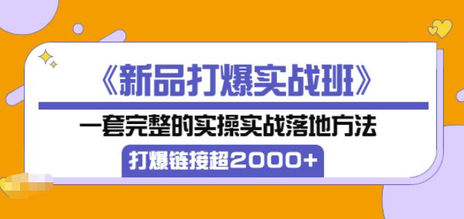 凌童《新品打爆实战班》,一套完整的实操实战落地方法，打爆链接超2000+（28节课)-沐风资源库