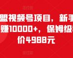 猎人联盟视频号项目，新手0基础轻松月赚10000+，保姆级教程原价4988元-沐风资源库