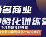杨名商业IP孵化训练营，从商业到内容到转化一站式学 价值5980元-沐风资源库