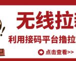 最新接码无限拉新项目,利用接码平台赚拉新平台差价,轻松日赚500+-沐风资源库