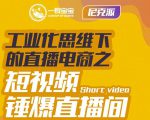 尼克派·工业化思维下的直播电商之短视频锤爆直播间，听话照做执行爆单-沐风资源库