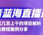 抖音最新蓝海直播玩法，3分钟赚30元，一天轻松1000+，只要你去直播就行【详细玩法教程】-沐风资源库