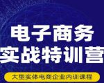 民赛电气内部出品：电子商务实战特训营，全方位带你入门电商，308种方式玩转电商-沐风资源库