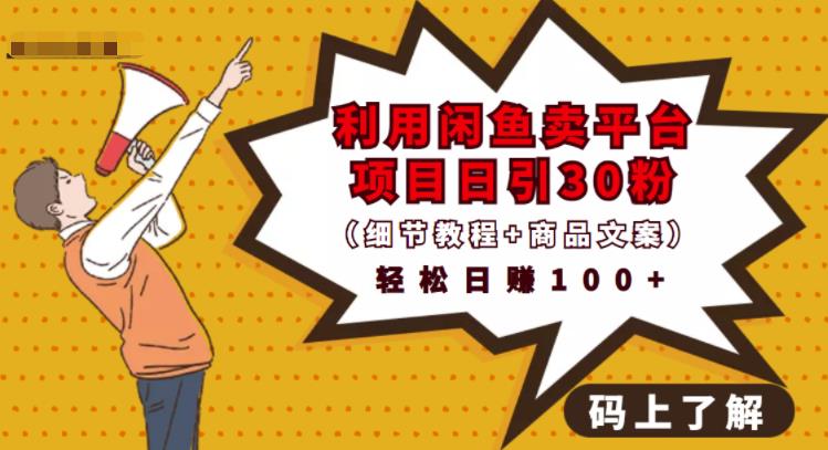 利用闲鱼卖平台项目课程资源日引流30+精准粉丝，轻松日赚100+，积累人脉可实现二次变-沐风资源库
