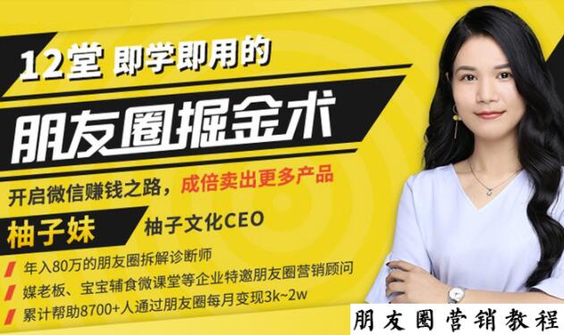 【营销必学】12堂学之即用的朋友圈掘金术：开启你的副业赚钱之路-沐风资源库