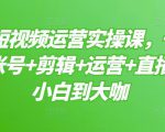 晨哥·短视频运营实操课，一部手机，账号+剪辑+运营+直播，从小白到大咖-沐风资源库
