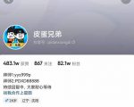 沙雕动画-皮蛋兄弟·熊猫人动画教学制作，全套素材文案教程分享！-沐风资源库