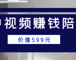 中视频赚钱陪跑，卖中视频账户赚钱收益陪跑项目（价值599元）-沐风资源库