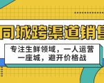 同城跨渠道销售，专注生鲜领域，一人运营一座城，避开价格战-沐风资源库
