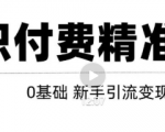 玩转知识付费项目精准引流，给你1套课多账号操作落地方案！-沐风资源库
