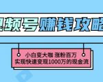 玩转微信视频号赚钱：小白变大咖涨粉百万实现快速变现1000万的现金流-沐风资源库