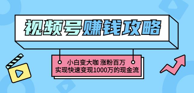 玩转微信视频号赚钱：小白变大咖涨粉百万实现快速变现1000万的现金流-沐风资源库