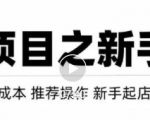 虚拟项目快速起店模式，0成本打造月入几万虚拟店铺！-沐风资源库