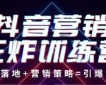抖音营销王炸训练营，实操落地+营销策略=引爆流量（价值8960元）-沐风资源库