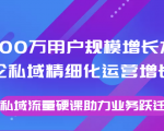 8000万用户规模增长方法论私域精细化运营增长，私域流量硬课助力业务跃迁-沐风资源库