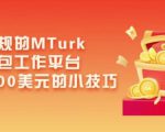 利用正规的MTurk微型众包工作平台，月赚1100美元的小技巧-沐风资源库