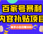 百家号暴利内容补贴项目，图文10元一条，视频30一条，新手小白日赚300+-沐风资源库
