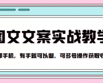 抖音图文文案实战教学，一部手机，有手就可以做，可多号操作获取收益-沐风资源库