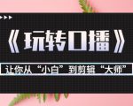 月营业额700万+大佬教您《玩转口播》让你从“小白”到剪辑“大师”-沐风资源库