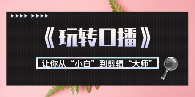 月营业额700万+大佬教您《玩转口播》让你从“小白”到剪辑“大师”-沐风资源库