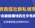 玩转微信社群私域带货，学会就能赚钱的社交电商，在家兼职副业再挣8000+-沐风资源库