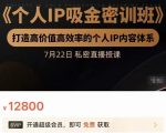 个人IP吸金密训班，打造高价值高效率的个人IP内容体系（价值12800元）-沐风资源库