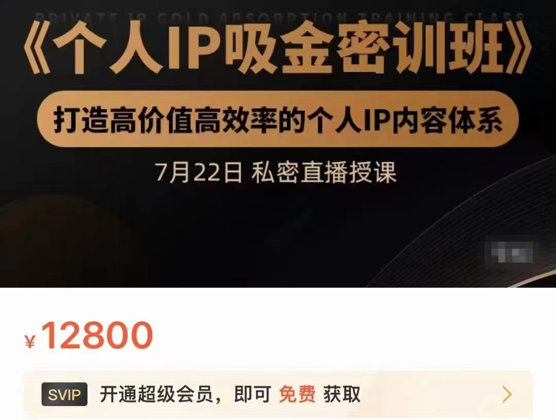 个人IP吸金密训班，打造高价值高效率的个人IP内容体系（价值12800元）-沐风资源库
