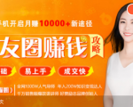 全网千万人气导师亲授：零基础/易上手的朋友圈赚钱攻略，让你轻松月入过万-沐风资源库