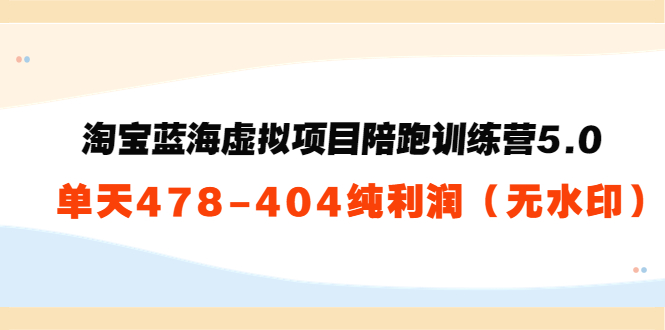 淘宝蓝海虚拟项目陪跑训练营5.0：单天478纯利润-沐风资源库
