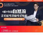 0粉0作品自然流正价起号及稳号全教程，专业自然流起号机构流程化教学（价值2980元）-沐风资源库