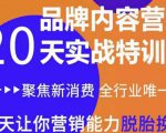 《内容营销实操特训营》20天让你营销能力脱胎换骨（价值3999）-沐风资源库