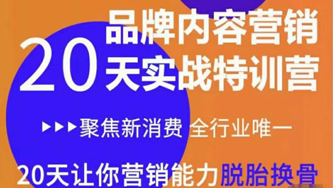 《内容营销实操特训营》20天让你营销能力脱胎换骨（价值3999）-沐风资源库