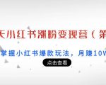 21天小红书涨粉变现营（第3期）：带你掌握小红书爆款玩法，月赚10W+秘密-沐风资源库