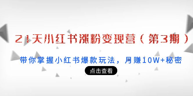 21天小红书涨粉变现营（第3期）：带你掌握小红书爆款玩法，月赚10W+秘密-沐风资源库