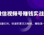 微信视频号赚钱实战：抓住流量红利，快速积累百万粉丝，赚取你的第一桶金-沐风资源库