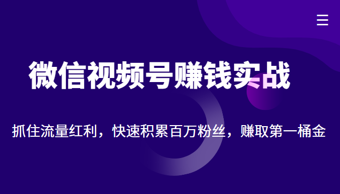 微信视频号赚钱实战：抓住流量红利，快速积累百万粉丝，赚取你的第一桶金-沐风资源库