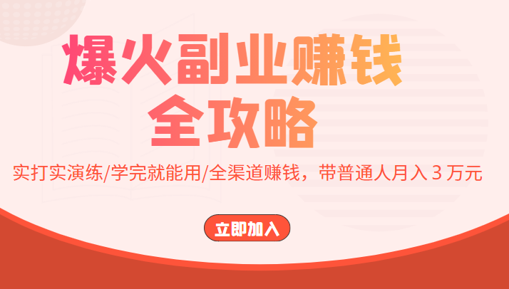 爆火副业赚钱全攻略：实打实演练/学完就能用/全渠道赚钱，带普通人月入３万元-沐风资源库