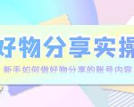 好物分享实操：新手如何做好物分享的账号内容，实操教学-沐风资源库