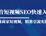 抖音短视频Seo搜索排名优化新手快速入门教程，实体商家短视频，精准引流实操课-沐风资源库