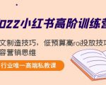 2022小红书高阶训练营：爆文制造技巧，低预算高roi投放技巧，内容营销思维-沐风资源库