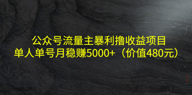 公众号流量主暴利撸收益项目,单人单号月稳赚5000+(价值480元)-沐风资源库