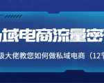 私域电商流量密码：千万级大佬教您如何做私域电商（12节课）-沐风资源库