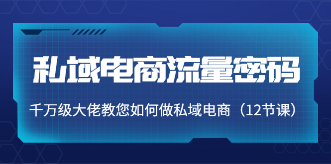 私域电商流量密码：千万级大佬教您如何做私域电商（12节课）-沐风资源库