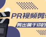 PR视频剪辑课：各种剪辑与视频特效玩法，剪出属于你的大片-沐风资源库