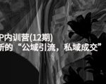 新媒体IP内训营(12期)，一套全新的“公域引流，私域成交”IP打法，直接带走-沐风资源库