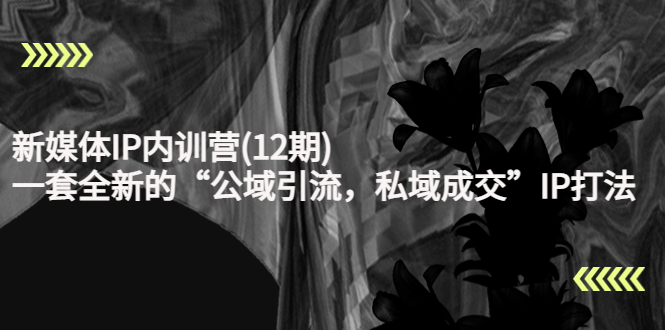 新媒体IP内训营(12期)，一套全新的“公域引流，私域成交”IP打法，直接带走-沐风资源库