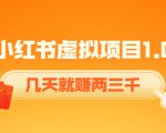 《小红书虚拟项目1.0》账号注册+养号+视频制作+引流+变现，几天就赚两三千-沐风资源库