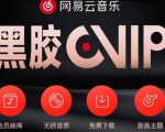 网易云音乐撸黑胶年卡及变现方法，收益可无限放大-沐风资源库