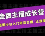 金牌主播成长营，一周从直播小白入门带货主播，让直播更简单-沐风资源库